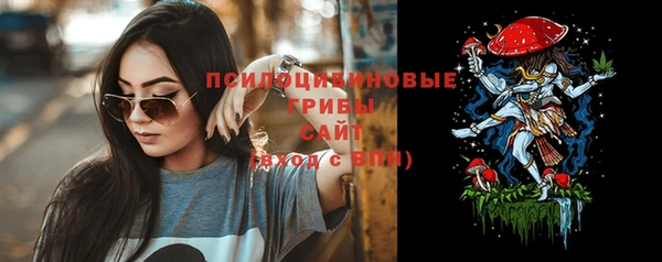 сатива Ельня