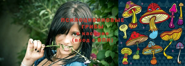 Альфа ПВП Заволжск