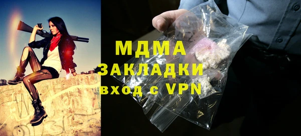 сатива Ельня
