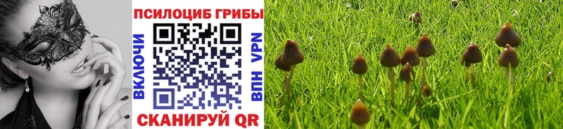 Галлюциногенные грибы мицелий  Купить  Севск 